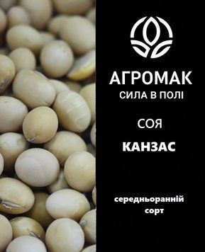 Соя Канзас (біг бег 1 т) Kanzas фото