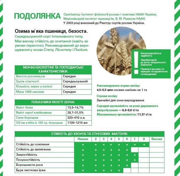 Подолянка еліта (мішок 50 кг) Podolianka_elita_m_2025 фото